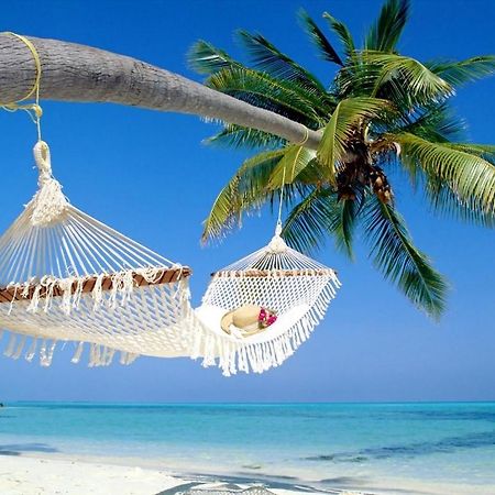 Affordable Two Bedroom Tropical Condo - Private Beach, Pools, Hot Tub São Petersburgo Exterior foto