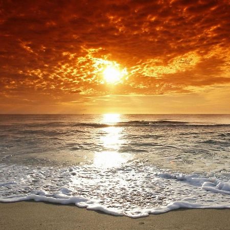 Affordable Two Bedroom Tropical Condo - Private Beach, Pools, Hot Tub São Petersburgo Exterior foto