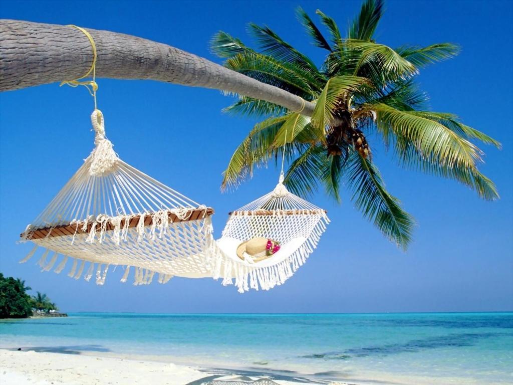 Affordable Two Bedroom Tropical Condo - Private Beach, Pools, Hot Tub São Petersburgo Exterior foto